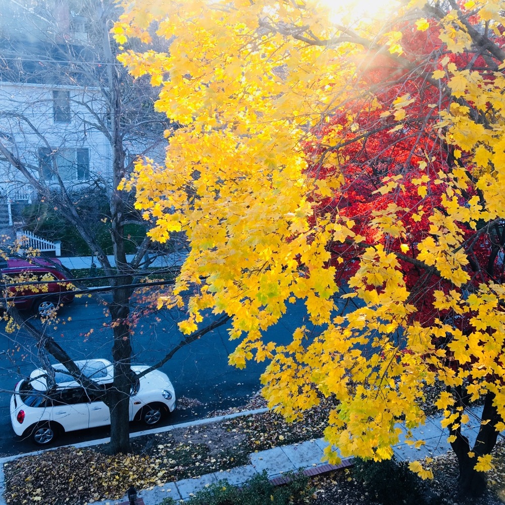 Meet your Posher, Johanna